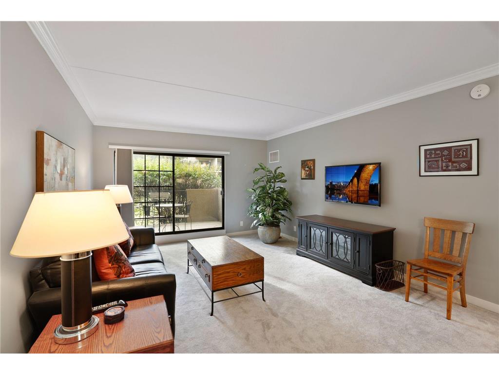 6730 Vernon Avenue S #105 Edina MN 55436 6814946 image5