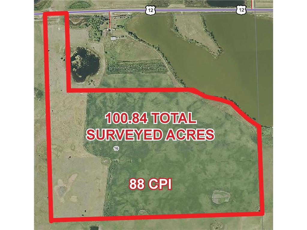 67345 US Highway 12 Odessa Twp MN 56278 6579559 image1