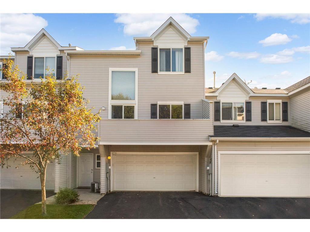 6736 Meadow Grass Lane S Cottage Grove MN 55016 6429644 image1