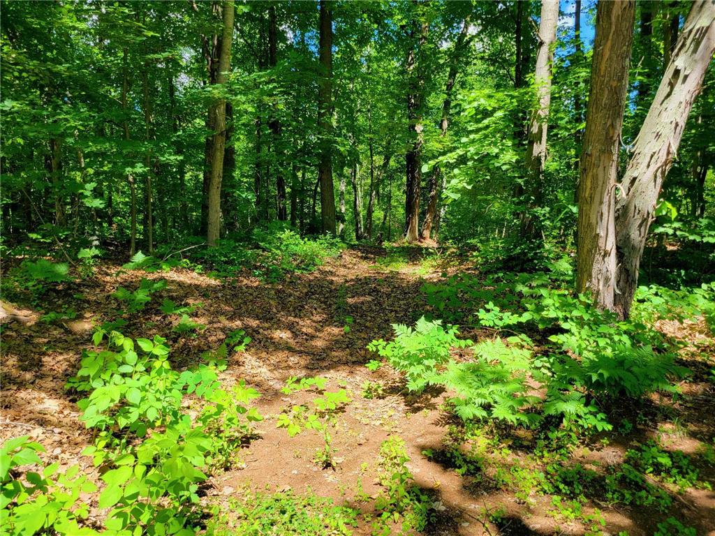 67415 Foley Road Finlayson MN 55735 7096842 image19