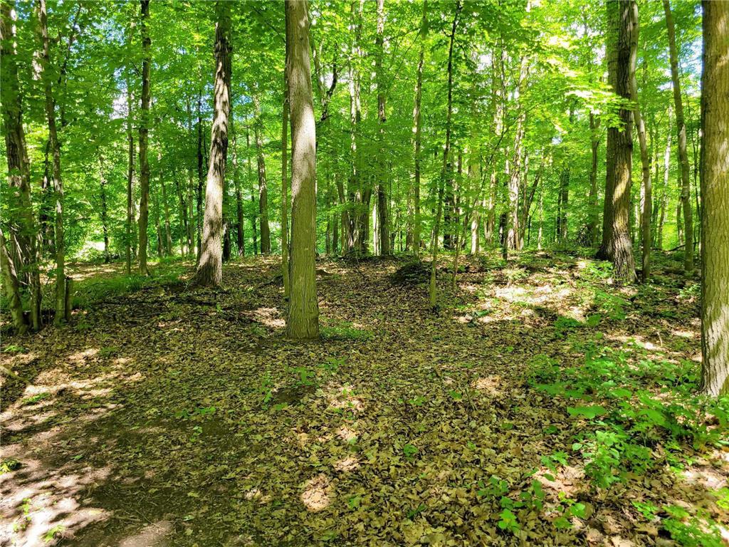 67415 Foley Road Finlayson MN 55735 7096842 image20
