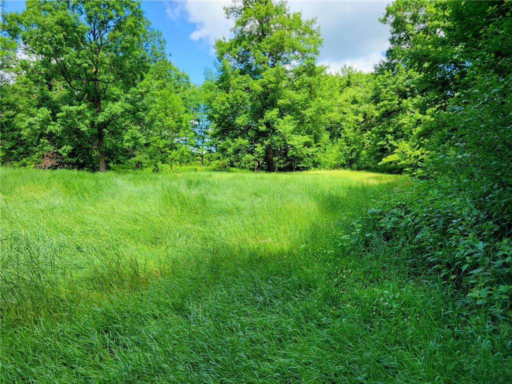 67415 Foley Road Finlayson MN 55735 7096842 image21