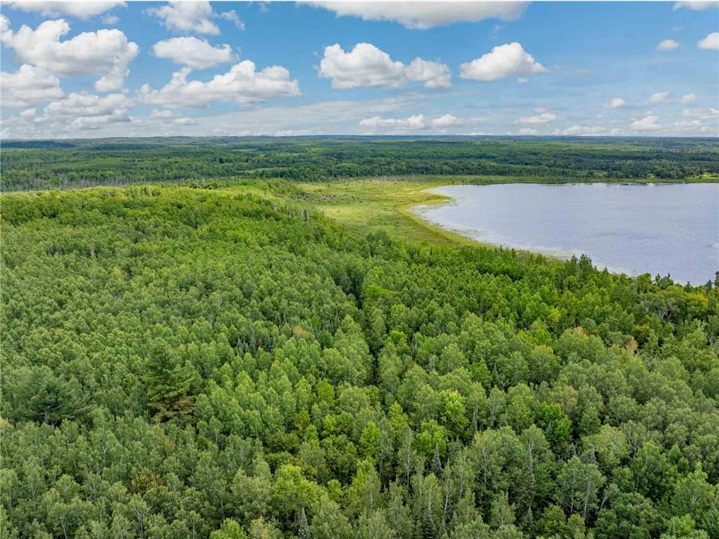 67488 Busties Lake Access Effie MN 56639 - Busties 7088883 image30