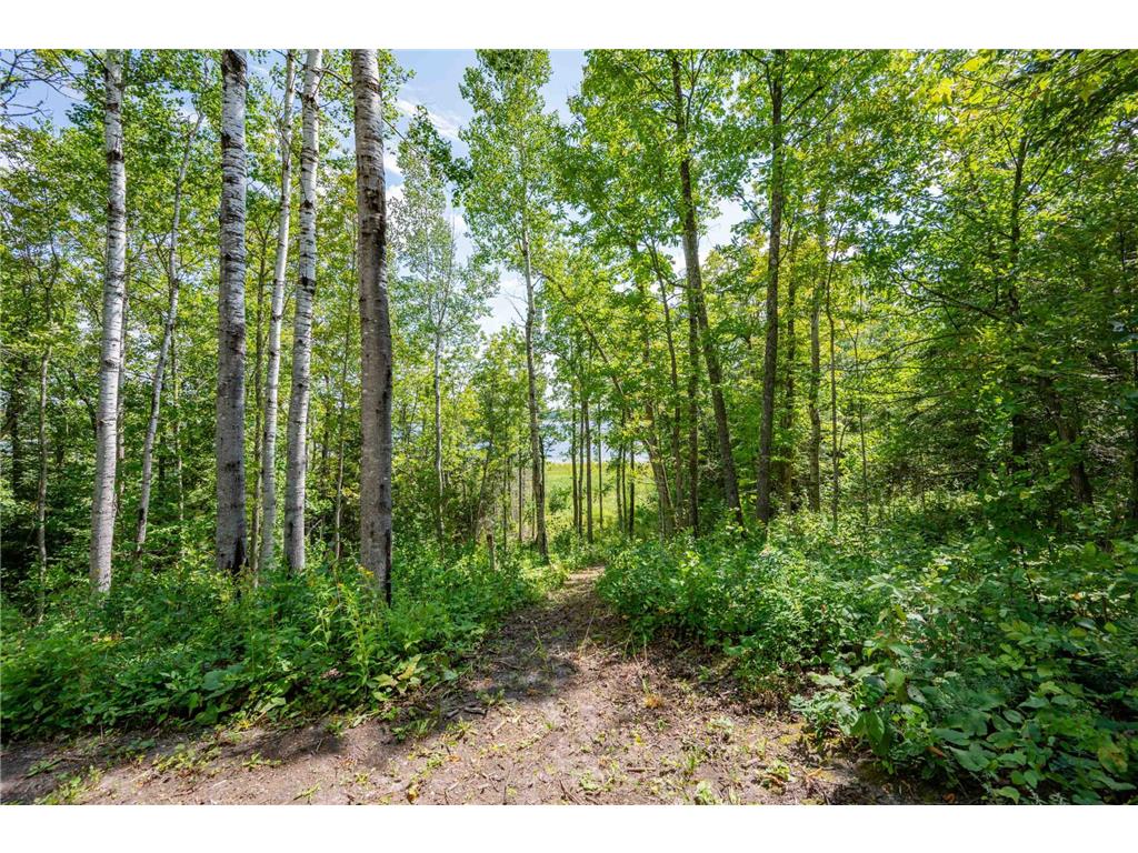 67488 Busties Lake Access Effie MN 56639 - Busties 7088883 image41