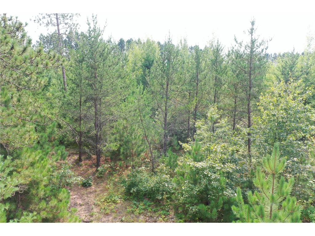 6752 Pike Bend Road Webster WI 54893 6591505 image1