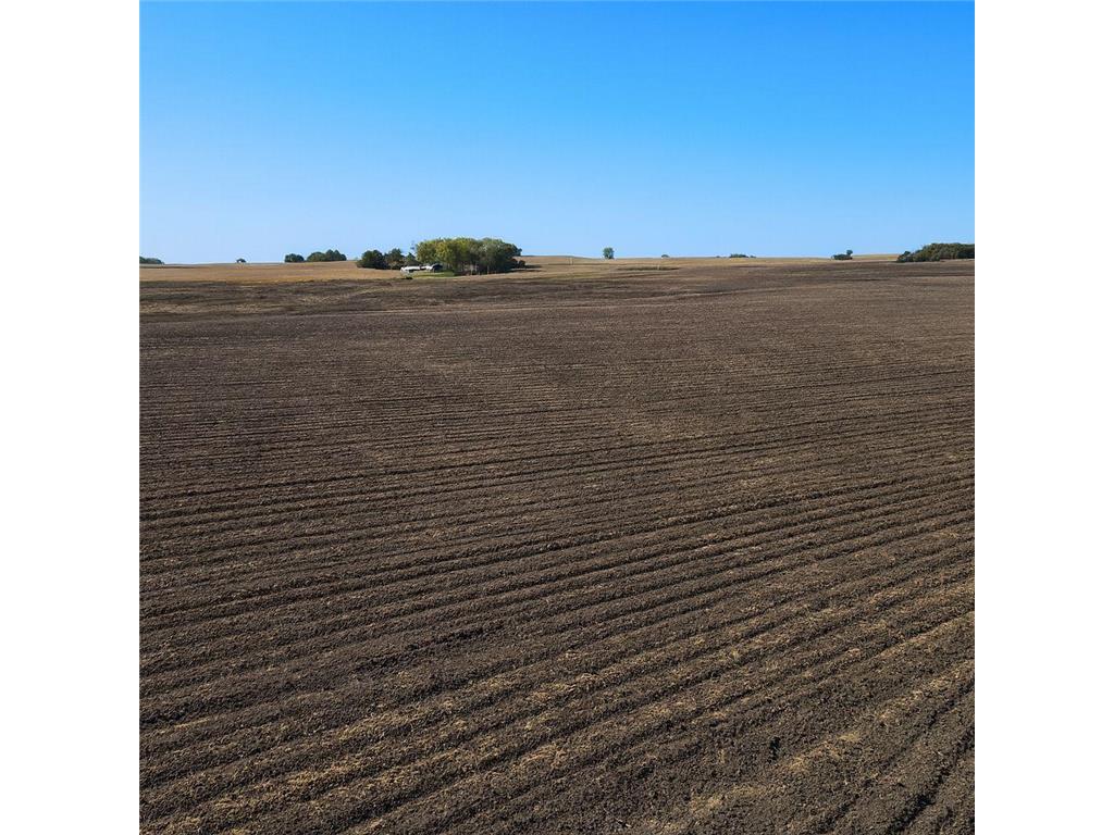 6754 590th Avenue Kiester Twp MN 56097 6811441 image4