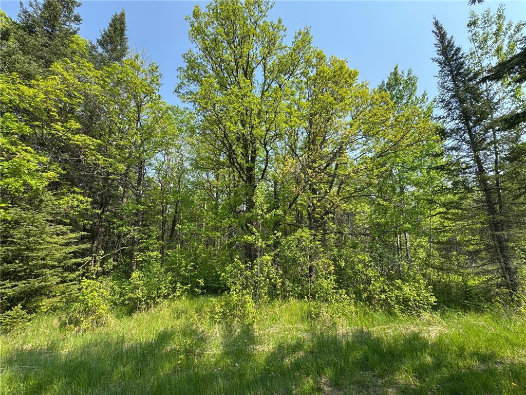 67552 TRANQUILITY TRL Effie MN 56639 - Busties 6729338 image11