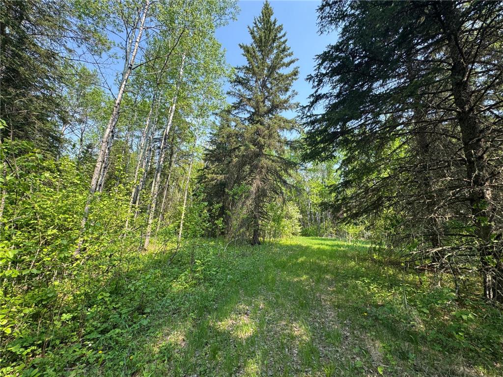 67552 TRANQUILITY TRL Effie MN 56639 - Busties 6729338 image15