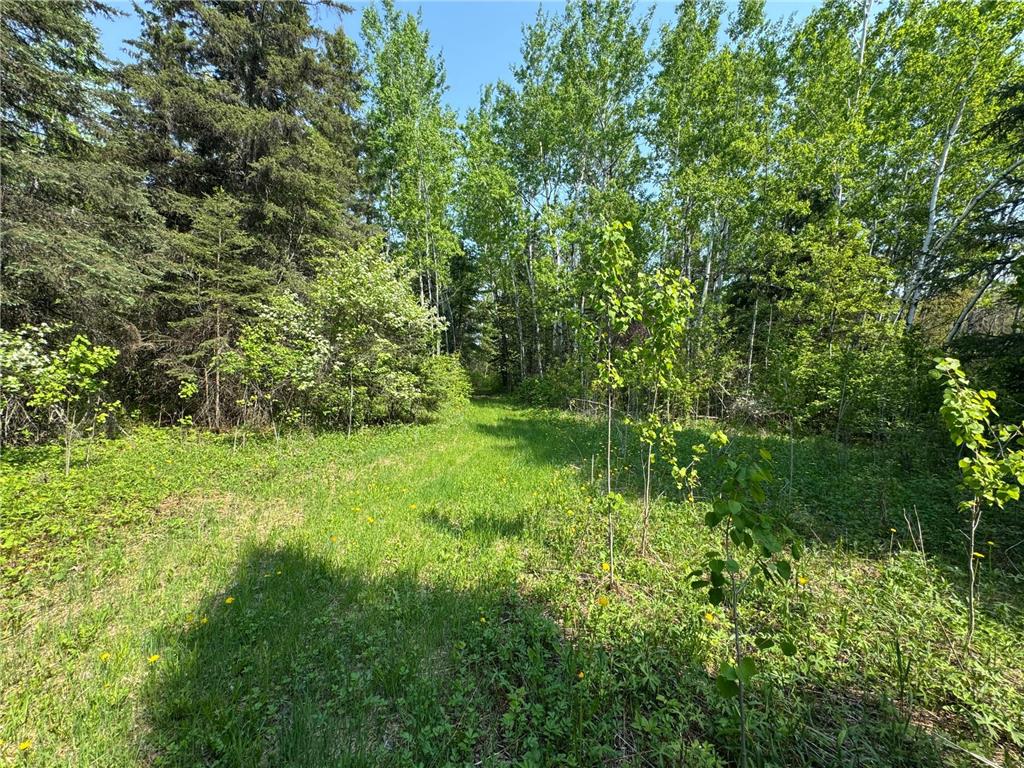 67552 TRANQUILITY TRL Effie MN 56639 - Busties 6729338 image16