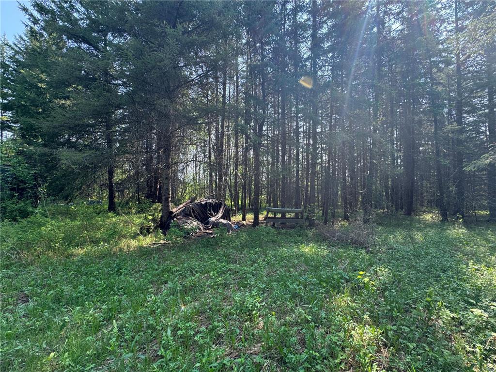 67552 TRANQUILITY TRL Effie MN 56639 - Busties 6729338 image25