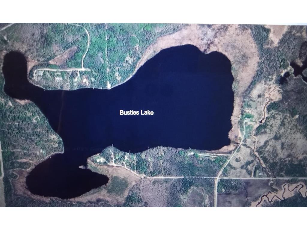 67552 TRANQUILITY TRL Effie MN 56639 - Busties 6729338 image28