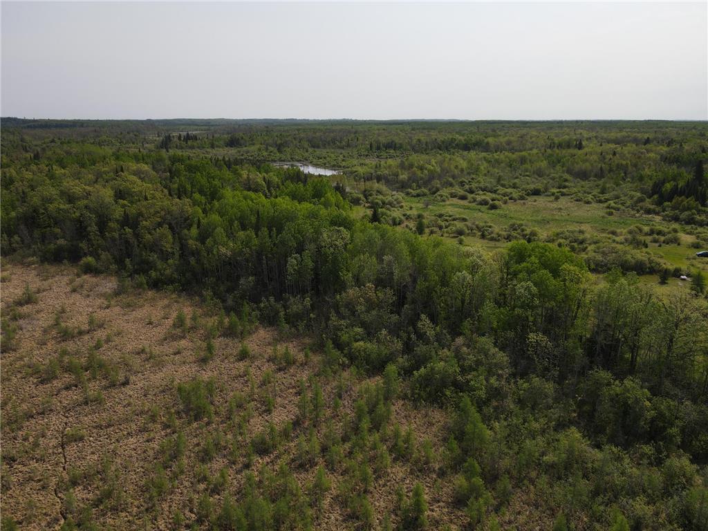 67552 TRANQUILITY TRL Effie MN 56639 - Busties 6729338 image30