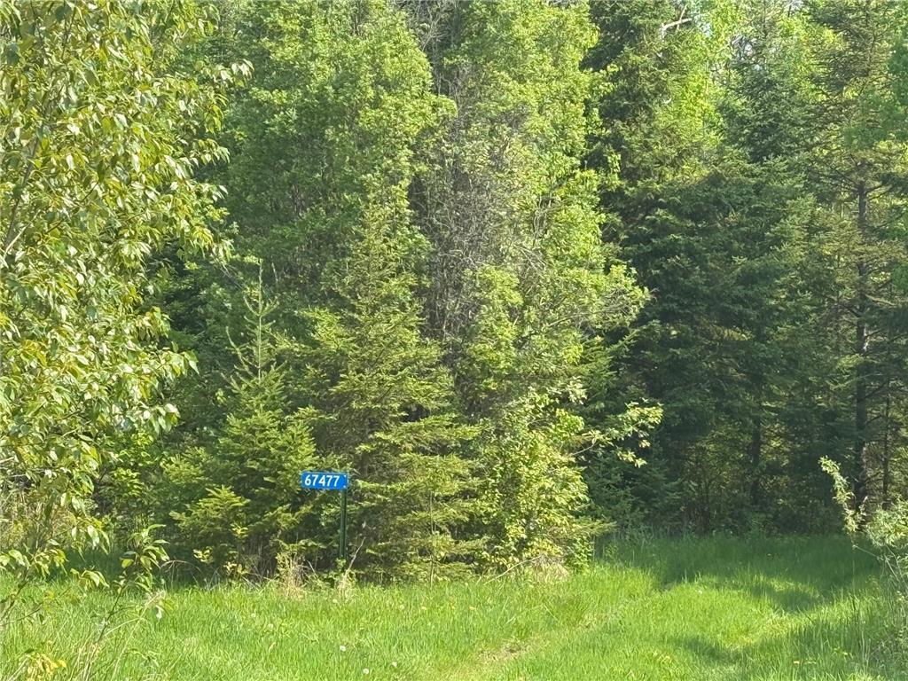 67552 TRANQUILITY TRL Effie MN 56639 - Busties 6729338 image7