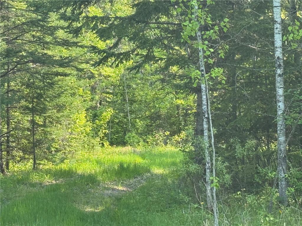 67552 TRANQUILITY TRL Effie MN 56639 - Busties 6729338 image8