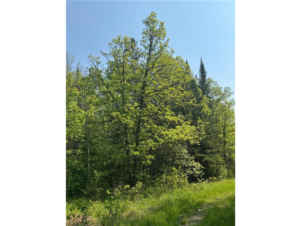 67552 TRANQUILITY TRL Effie MN 56639 - Busties 6729338 image9