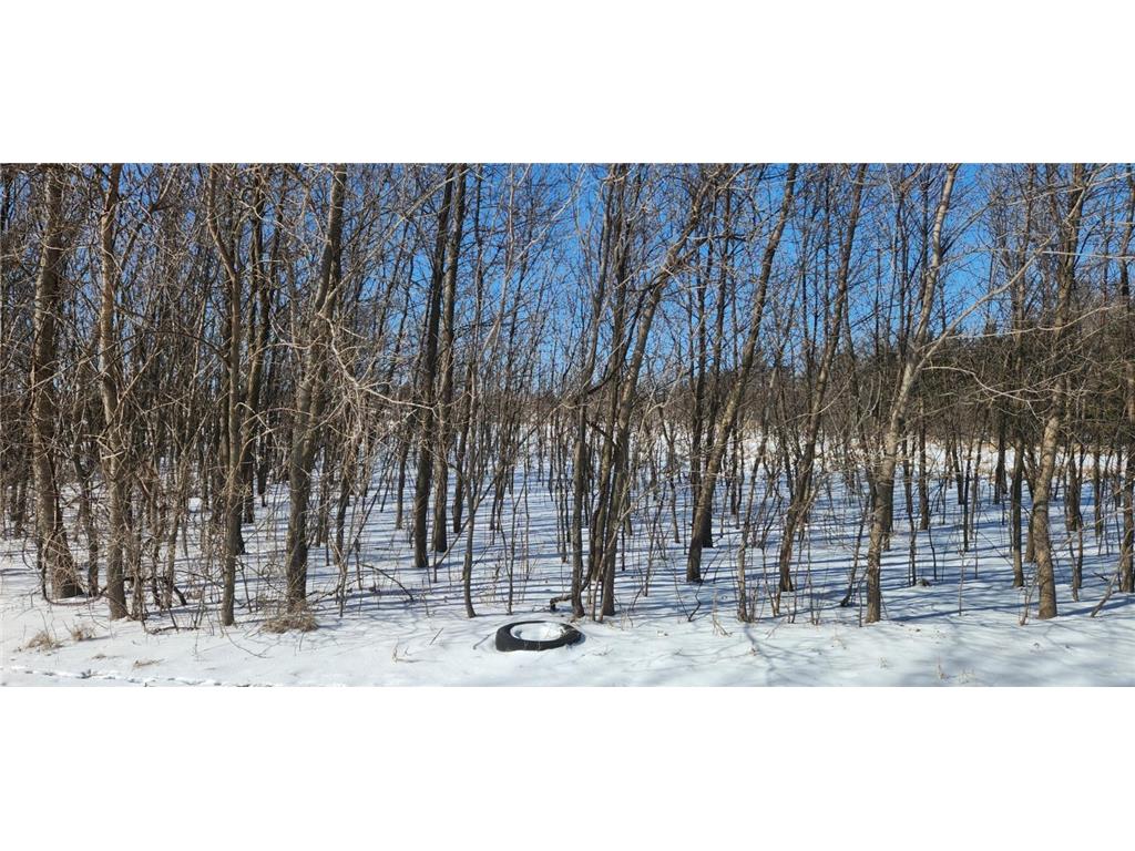 6757 164th Street SE Lake Elizabeth Twp MN 56209 - Elizabeth Lake 6678039 image10