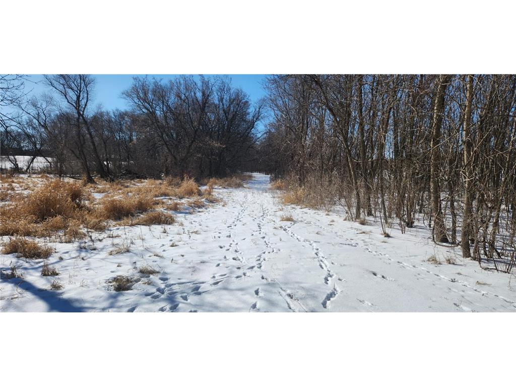 6757 164th Street SE Lake Elizabeth Twp MN 56209 - Elizabeth Lake 6678039 image8