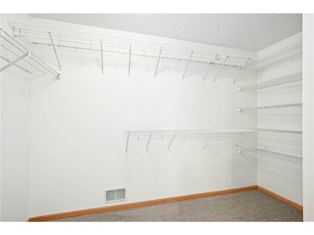 676 Falcon Ridge Road Woodbury MN 55125 7083810 image23
