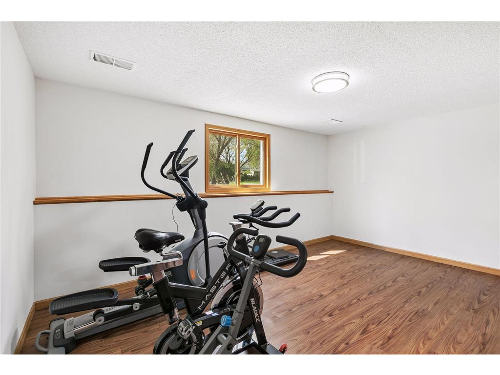 6766 Cottonwood Lane N Maple Grove MN 55369 7065885 image30