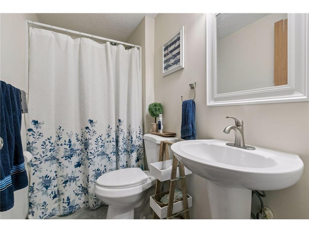 6766 Cottonwood Lane N Maple Grove MN 55369 7065885 image35