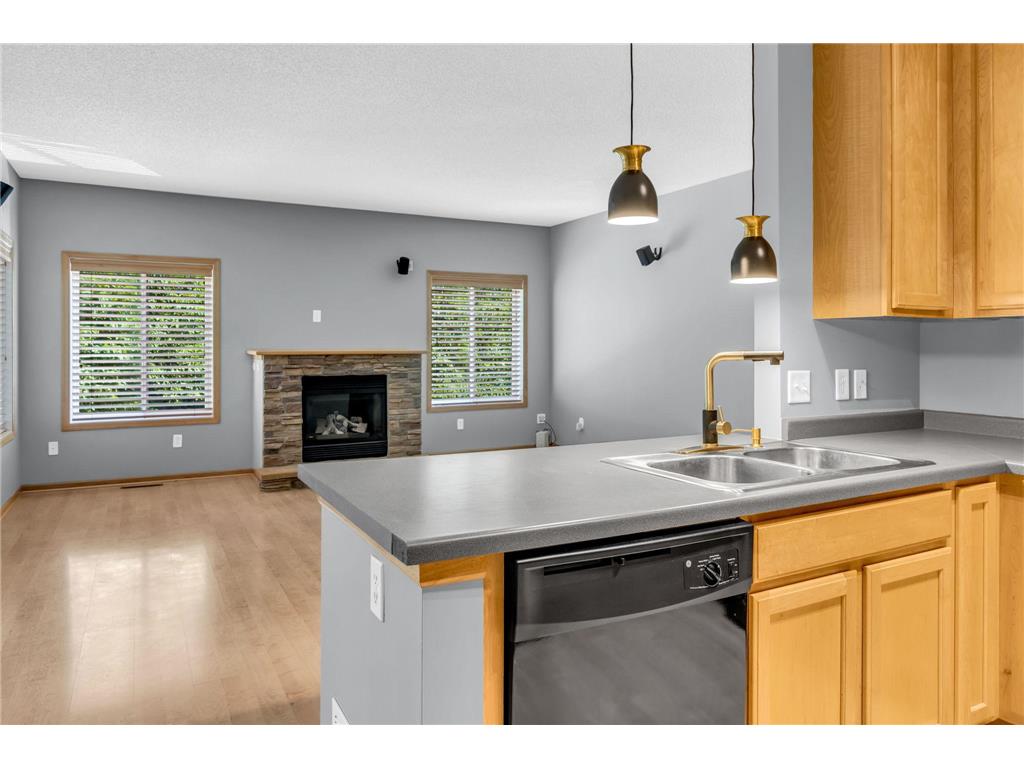 6766 Meadow Grass Lane S Cottage Grove MN 55016 7111307 image4