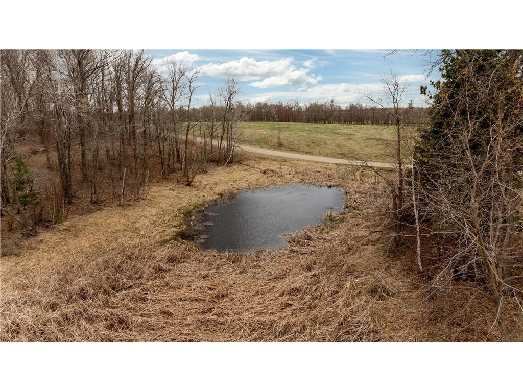 6775 State 87 SW Backus MN 56435 7071105 image31