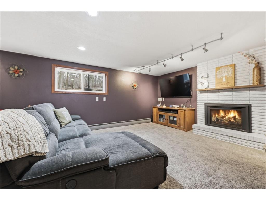 6777 Lamar Avenue S Cottage Grove MN 55016 7049365 image29