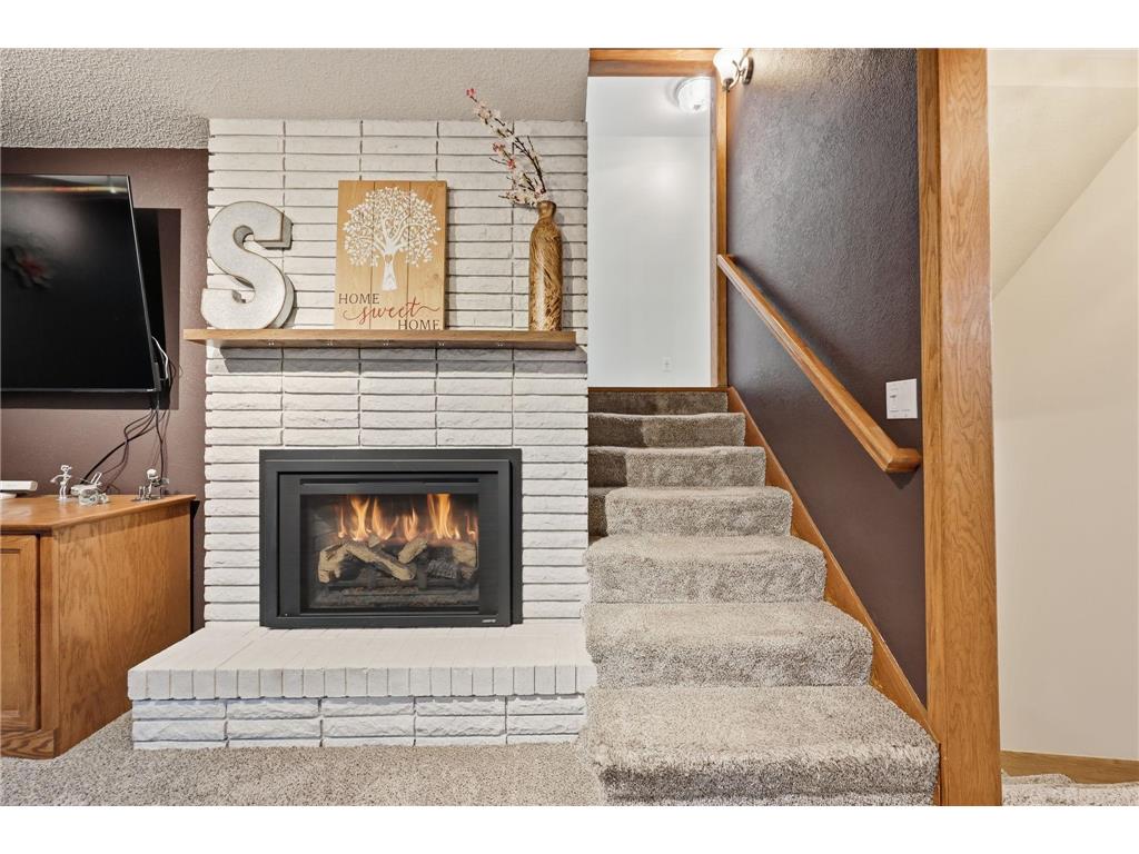 6777 Lamar Avenue S Cottage Grove MN 55016 7049365 image31
