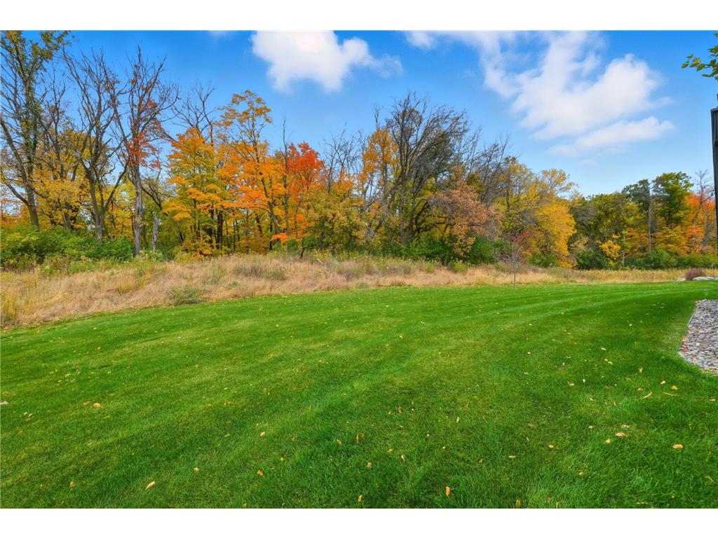 6780 Bellflower Drive Minnetrista MN 55331 7063682 image46