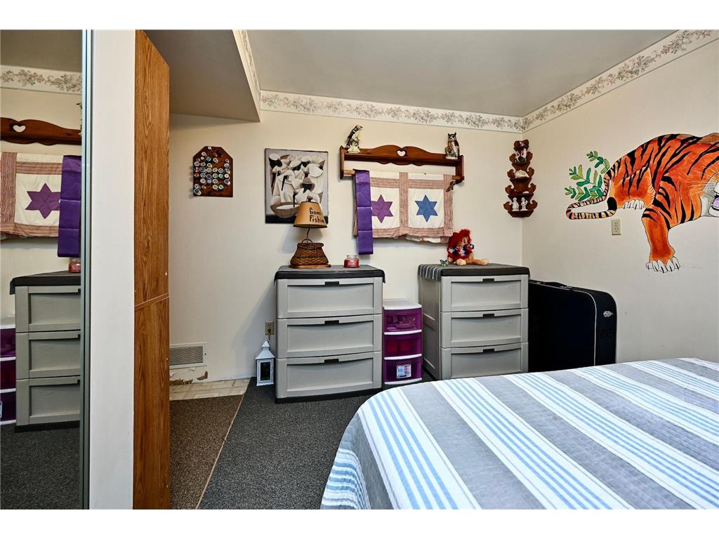 67845 151st Avenue Wabasha MN 55981 6784929 image19