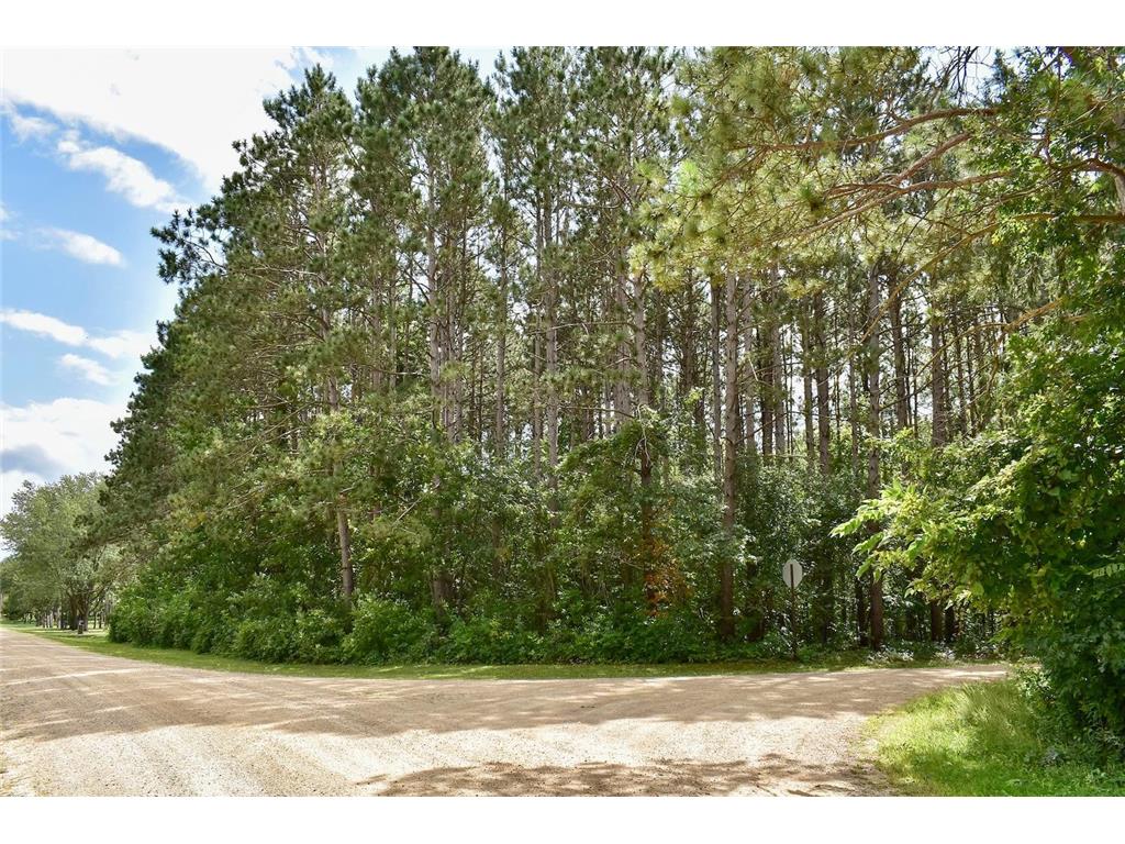 67845 151st Avenue Wabasha MN 55981 6784929 image29