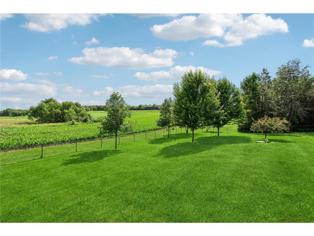 6787 Fairfax Way Faribault MN 55021 7093453 image18