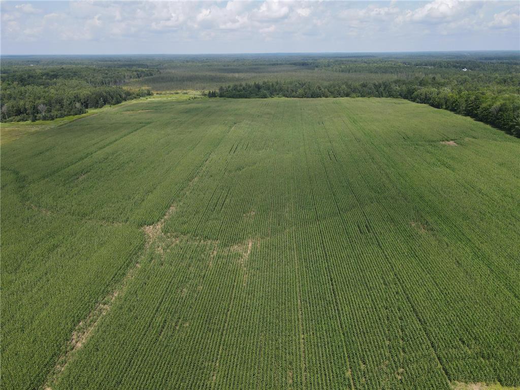67TBD County Road M Ogema Twp WI 54459 6770192 image14