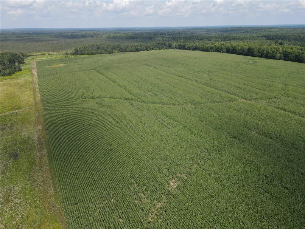 67TBD County Road M Ogema Twp WI 54459 6770192 image15