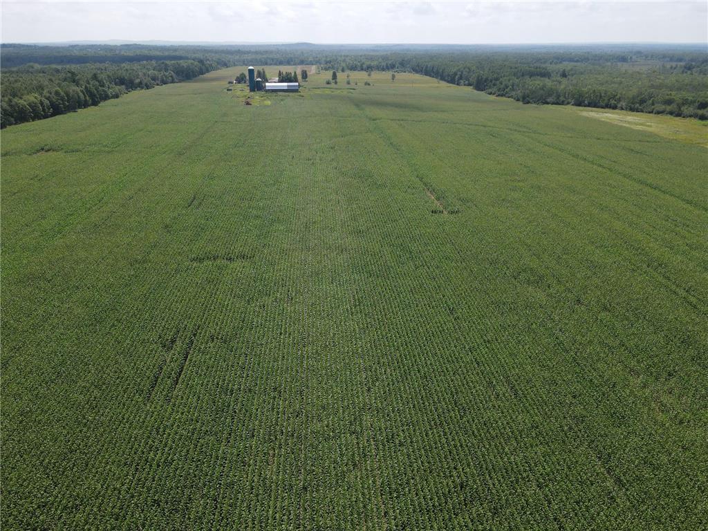 67TBD County Road M Ogema Twp WI 54459 6770192 image17