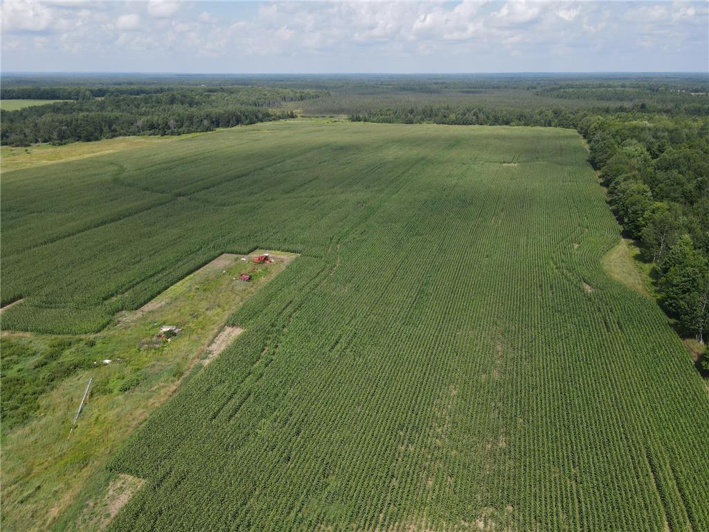 67TBD County Road M Ogema Twp WI 54459 6770192 image2