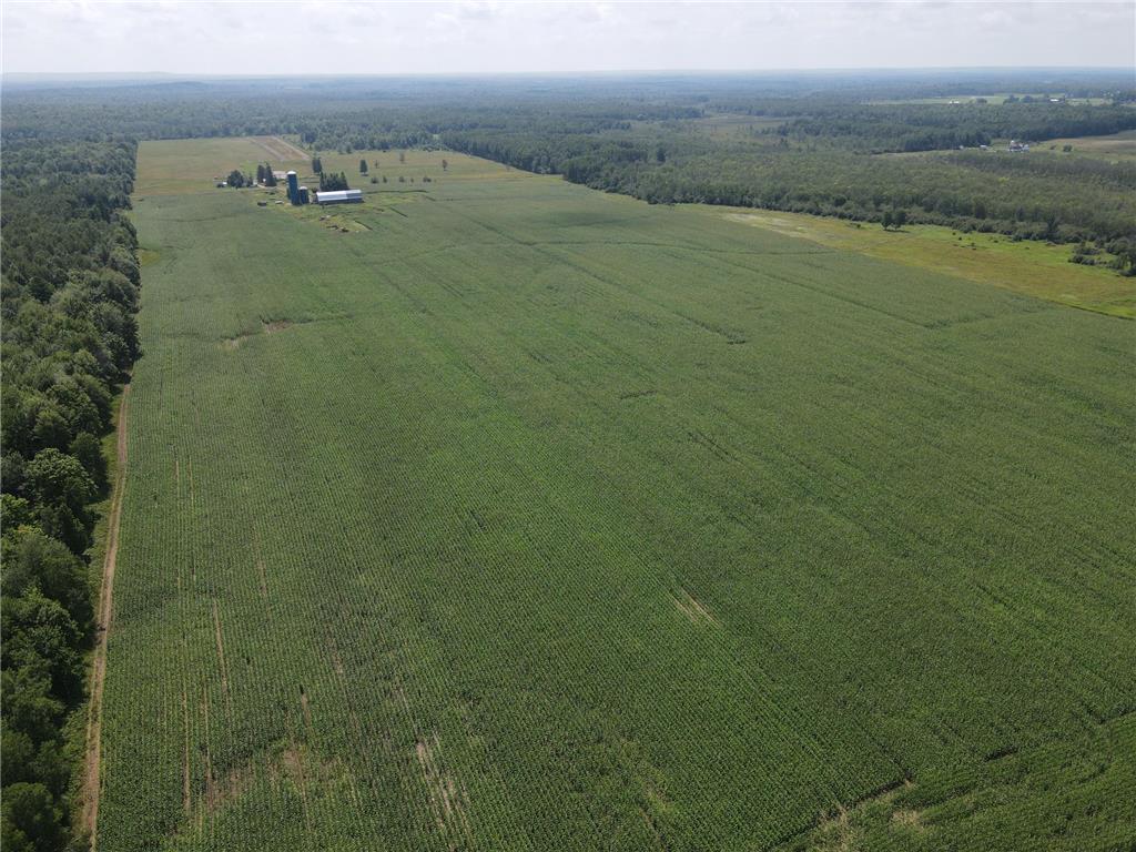 67TBD County Road M Ogema Twp WI 54459 6770192 image3