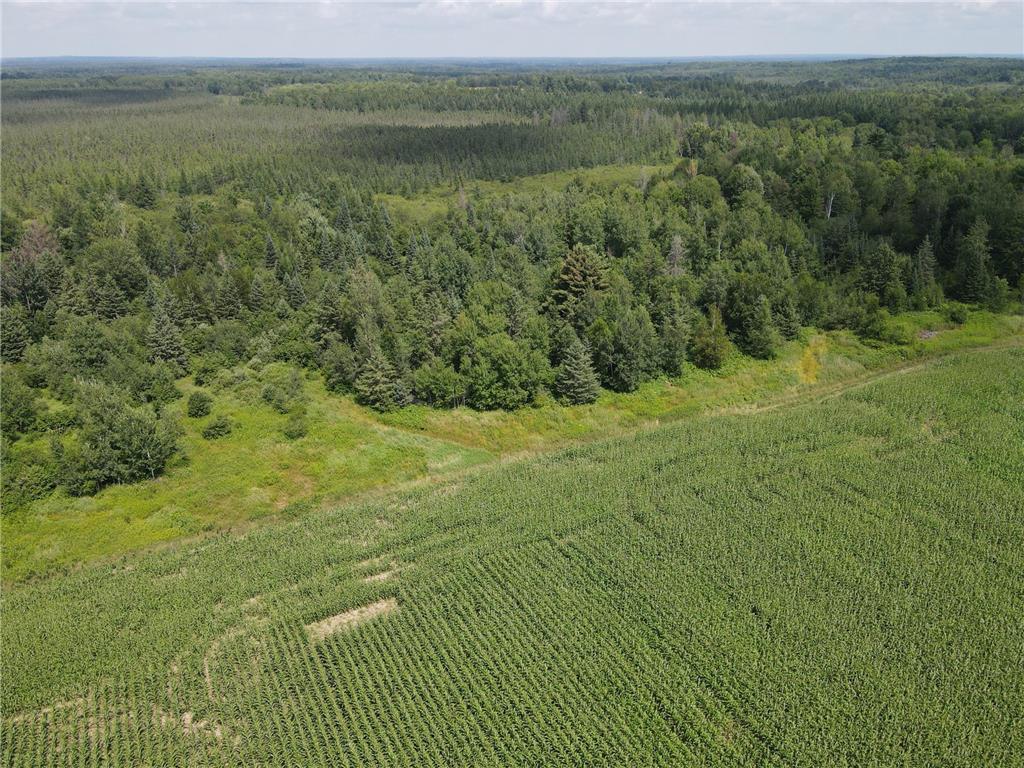 67TBD County Road M Ogema Twp WI 54459 6770192 image5