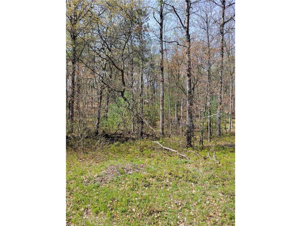 67XX Jamesway Rd Meenon Twp WI 54872 6534235 image1