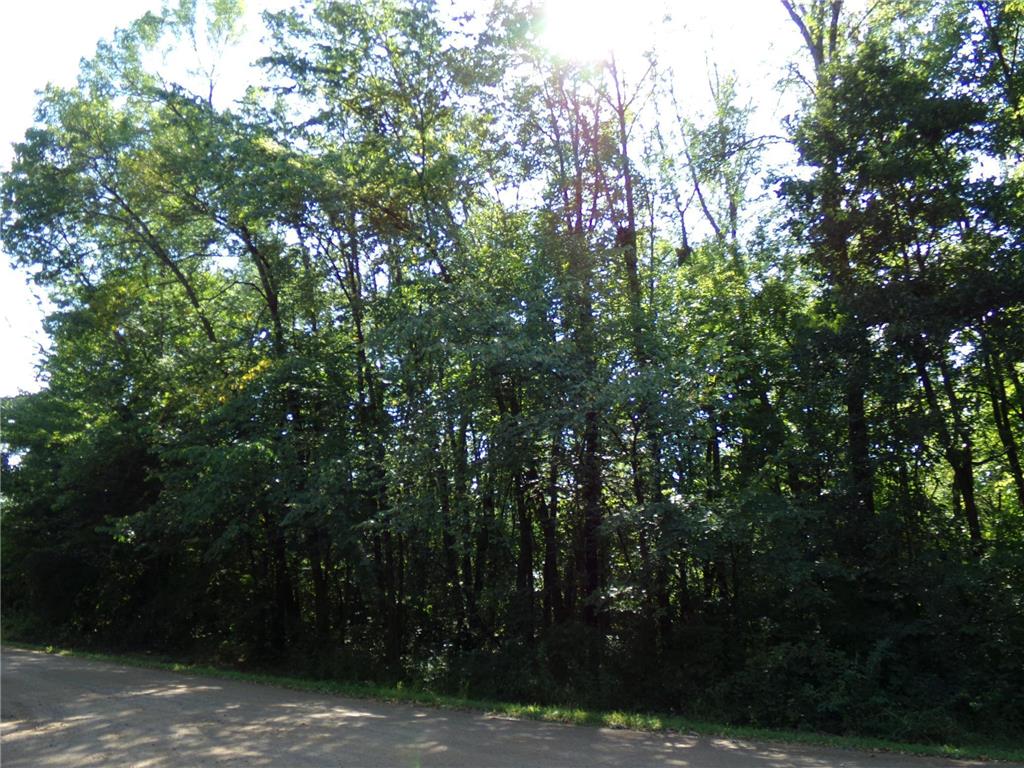 67xx Old Sawmill Road Harris MN 55032 6780374 image11