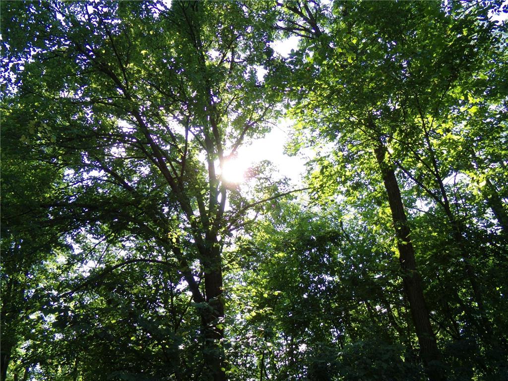 67xx Old Sawmill Road Harris MN 55032 6780374 image12