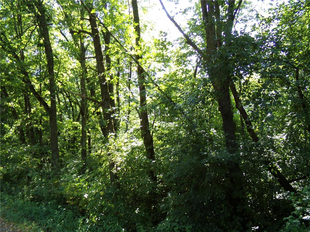 67xx Old Sawmill Road Harris MN 55032 6780374 image13