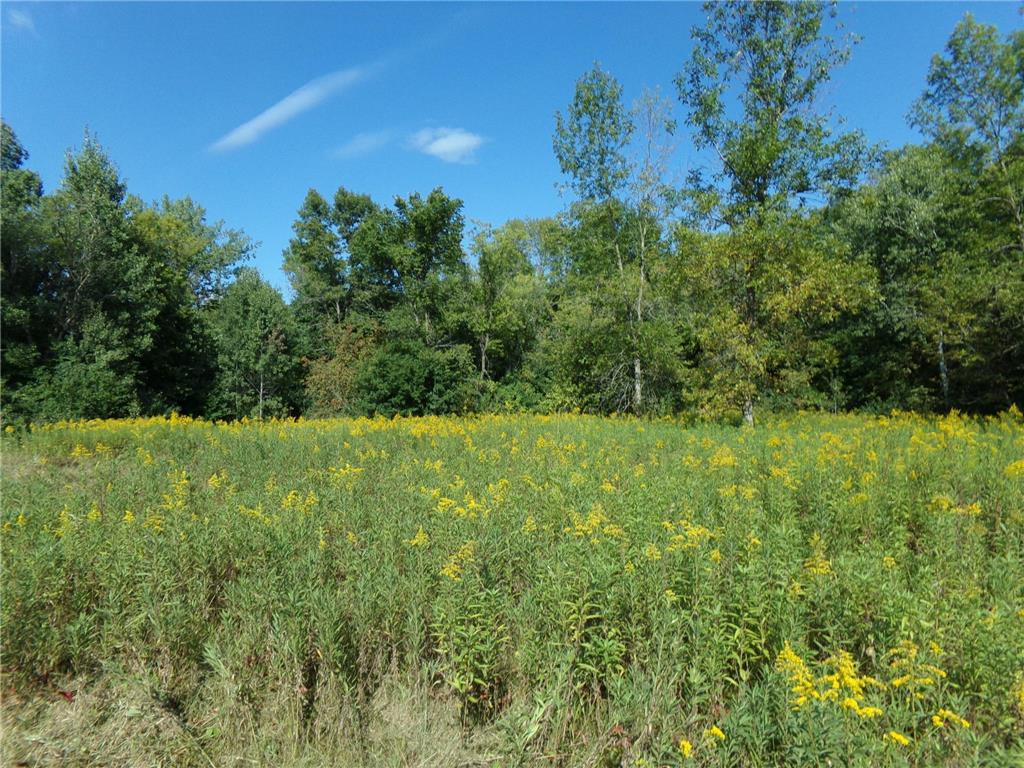 67xx Old Sawmill Road Harris MN 55032 6780374 image4