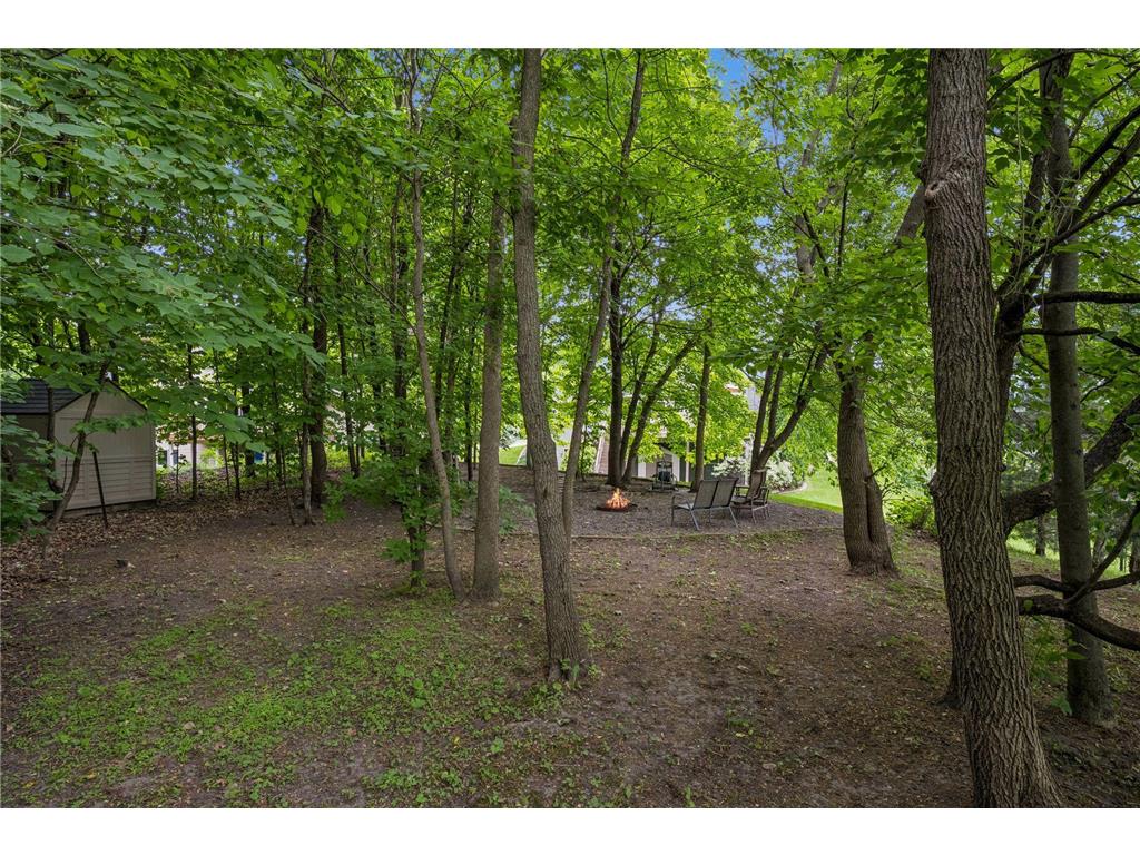 680 Kayla Lane Hanover MN 55341 7081192 image13