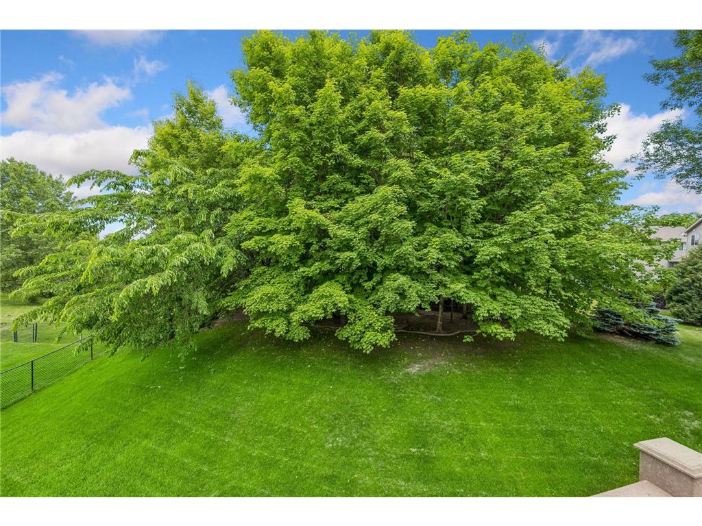 680 Kayla Lane Hanover MN 55341 7081192 image15