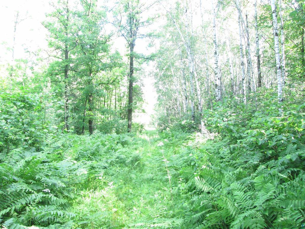 6810 Northeast Road Beseman Twp MN 55798 7106255 image10