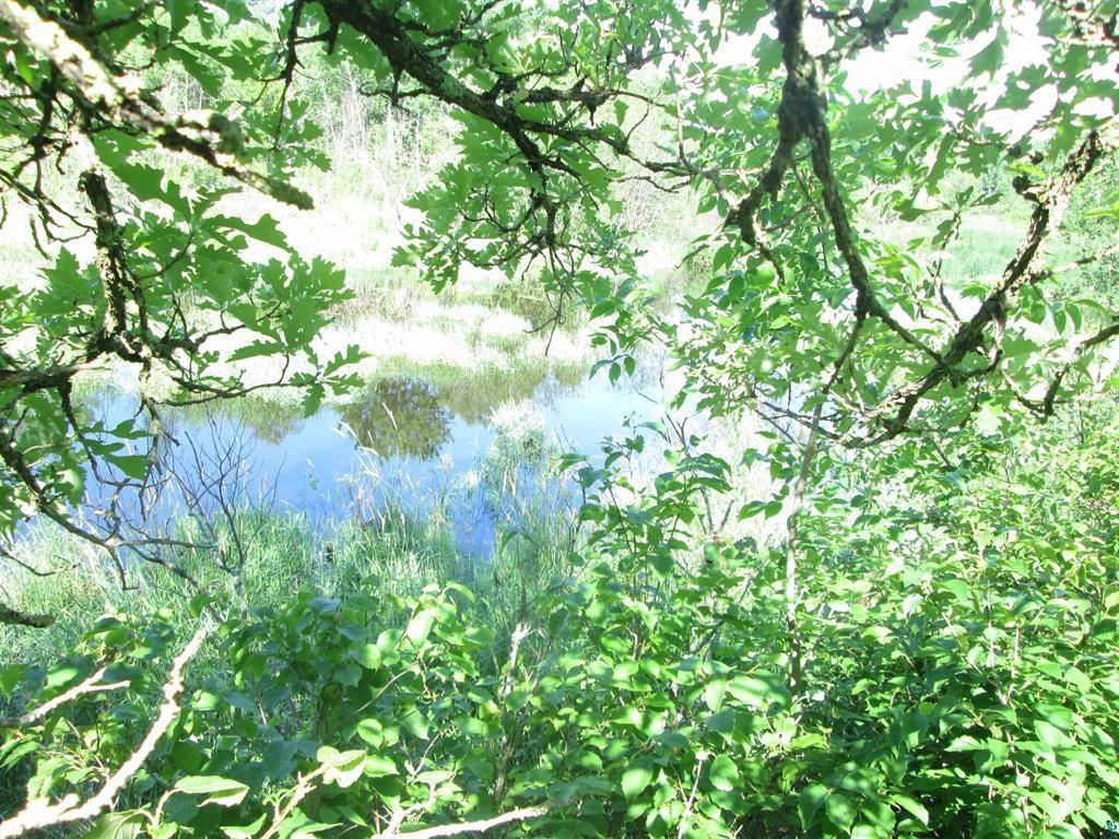 6810 Northeast Road Beseman Twp MN 55798 7106255 image11