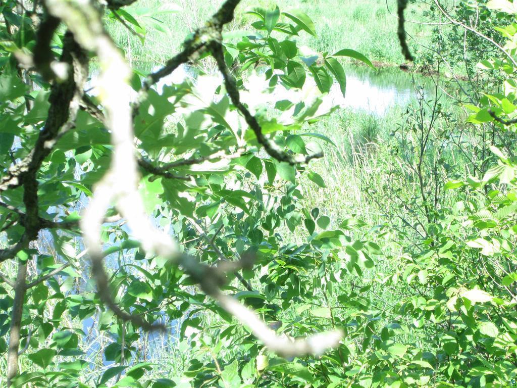 6810 Northeast Road Beseman Twp MN 55798 7106255 image12