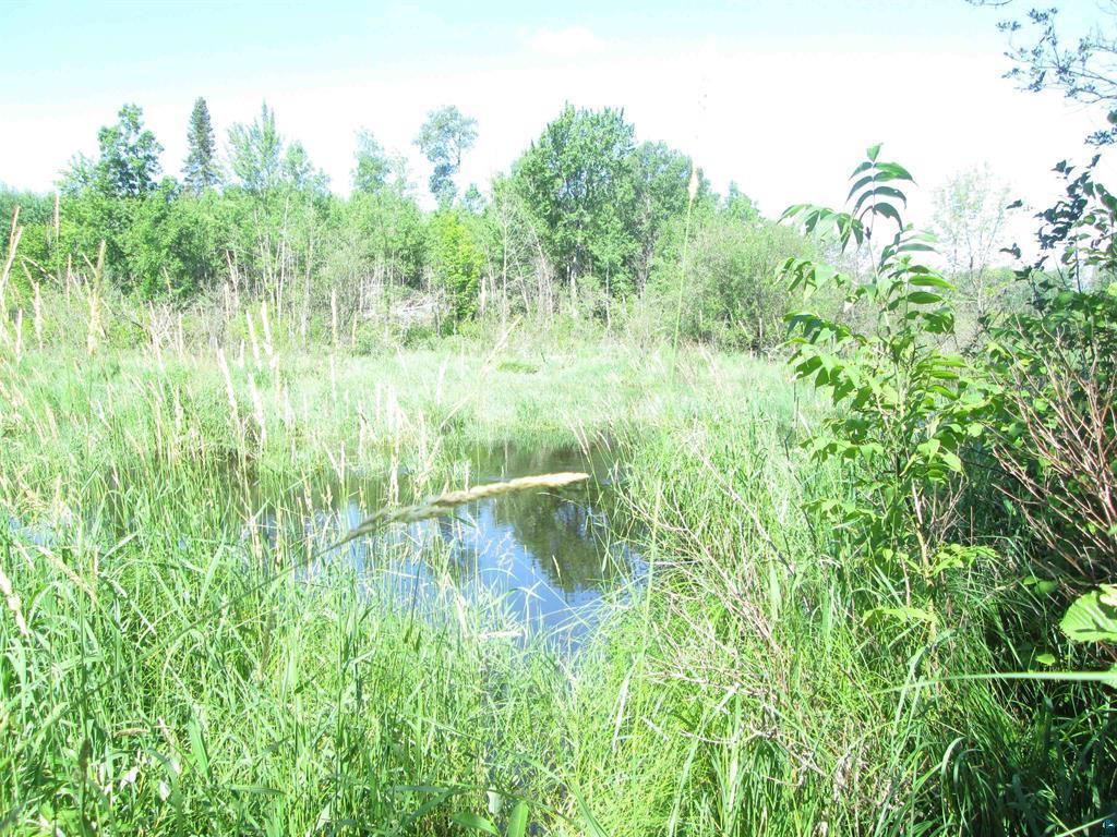 6810 Northeast Road Beseman Twp MN 55798 7106255 image14
