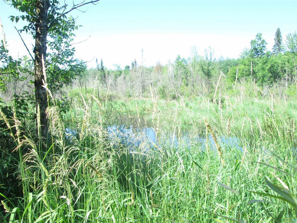 6810 Northeast Road Beseman Twp MN 55798 7106255 image15